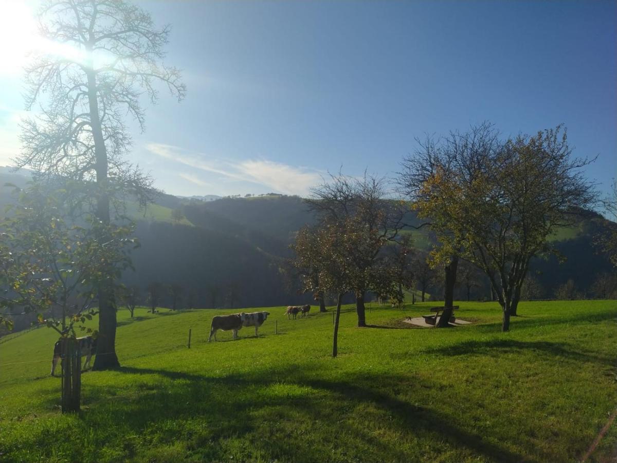 Appartamento Tiny House Birner Ertl Esterno foto